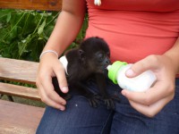 /album/fotogaleria/a534752-10151910737330153-1482764944-n-jpg/