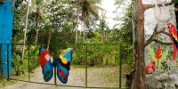 /album/fotogaleria/a294874-234202146624129-2789431-n-jpg/
