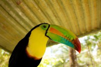 /album/fotogaleria/a262902-234198439957833-7160947-n-jpg/